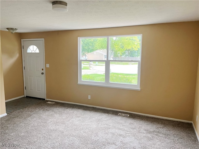 carpeted foyer entrance featuring a healthy amount of sunlight