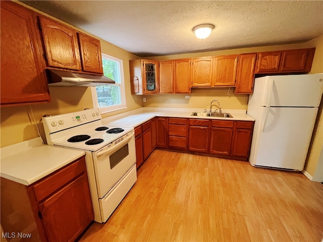 kitchen with a textured ceiling, light hardwood / wood-style floors, sink, and white appliances