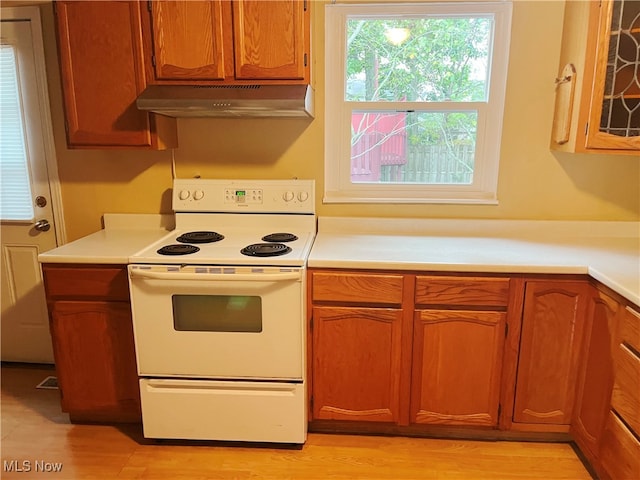 kitchen with light hardwood / wood-style floors, range hood, and electric stove