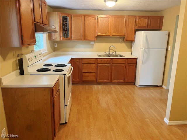 kitchen with a textured ceiling, light wood-type flooring, sink, and white appliances