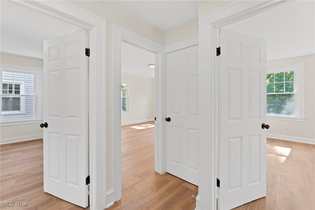 hall featuring light wood-type flooring and plenty of natural light