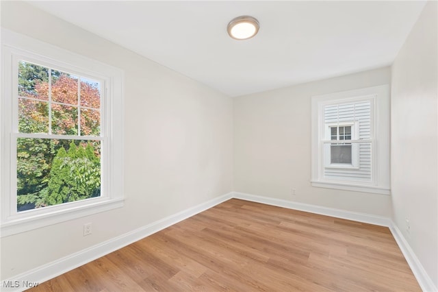 spare room featuring plenty of natural light and light hardwood / wood-style flooring