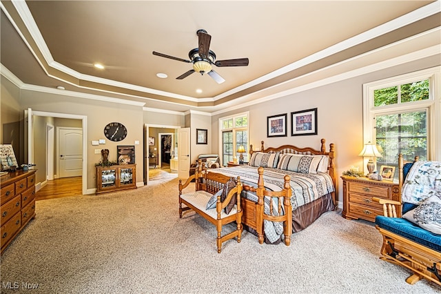 bedroom with crown molding, carpet flooring, ceiling fan, and a raised ceiling