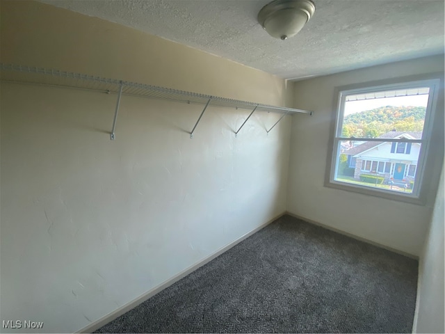 spacious closet featuring carpet floors