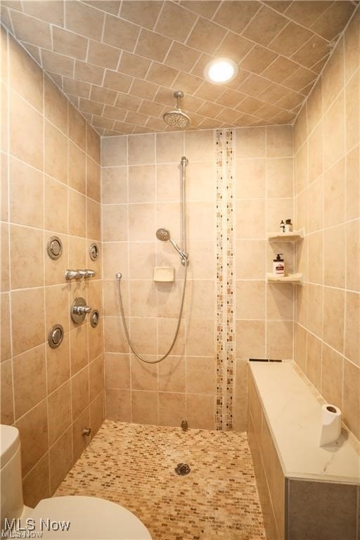 bathroom with a tile shower and toilet