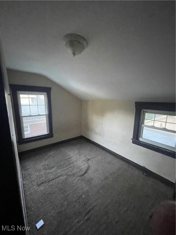 additional living space featuring a wealth of natural light and vaulted ceiling