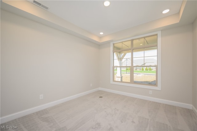 spare room with light carpet and a tray ceiling