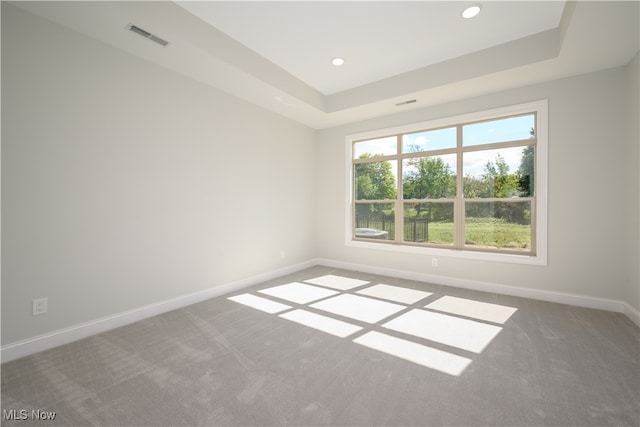 spare room featuring a raised ceiling and carpet flooring