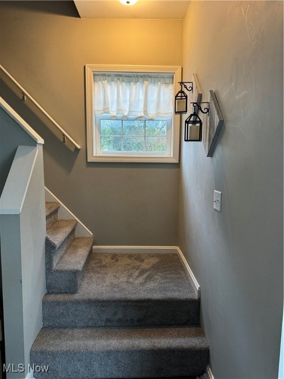 stairs featuring carpet floors