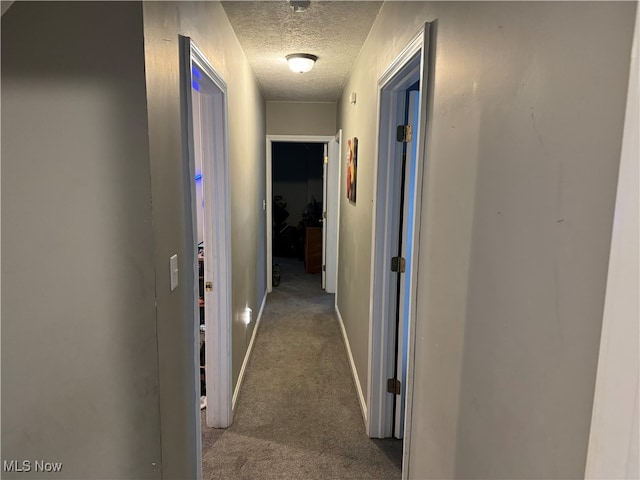 hall with carpet flooring and a textured ceiling