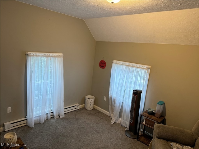 interior space featuring carpet floors, a textured ceiling, and lofted ceiling