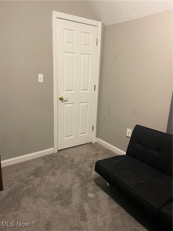 sitting room featuring lofted ceiling, carpet, and a textured ceiling