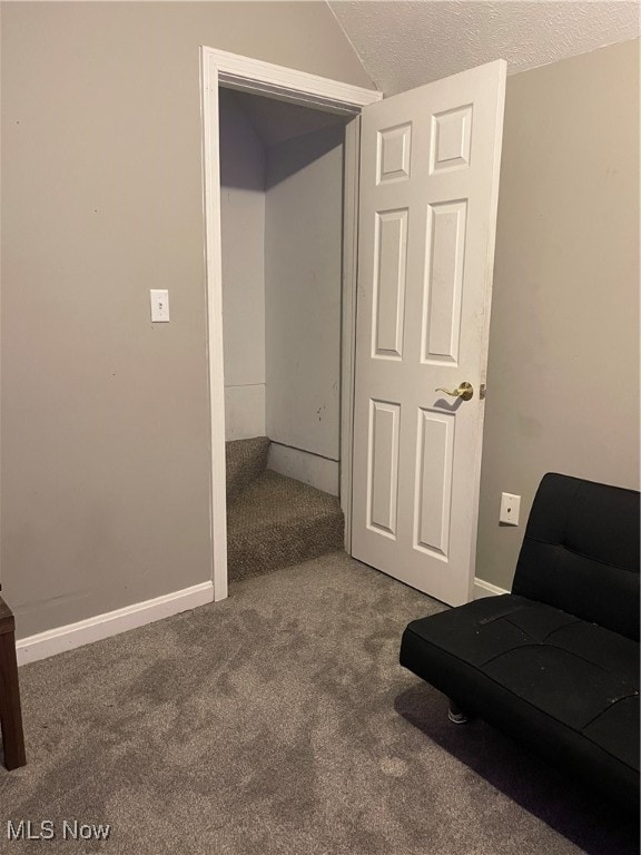 living area with carpet flooring and a textured ceiling