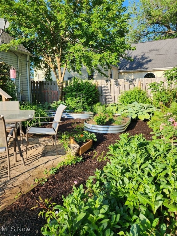 view of yard featuring a patio