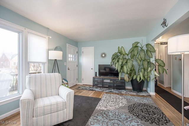 living room featuring hardwood / wood-style floors