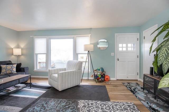 living room with hardwood / wood-style flooring