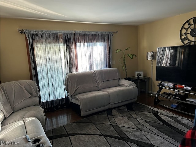 living room featuring hardwood / wood-style flooring