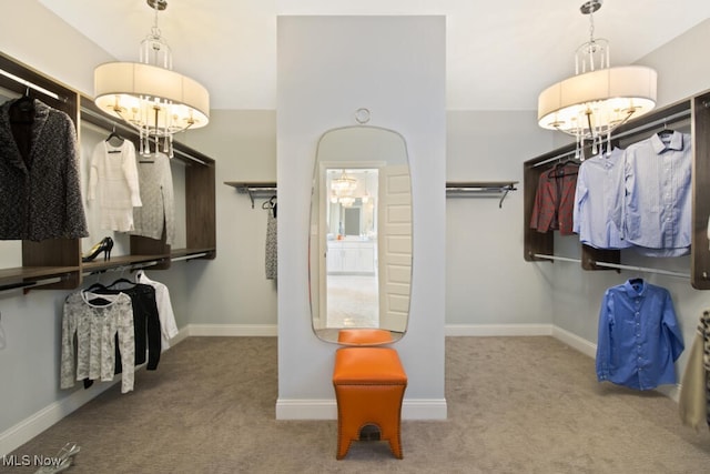 walk in closet with light colored carpet