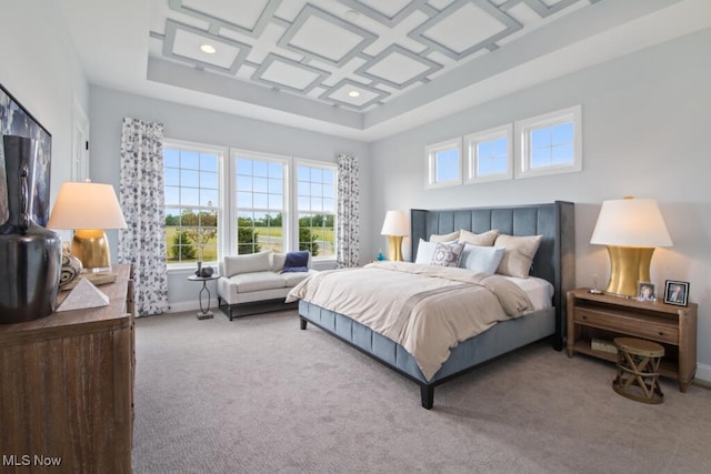 carpeted bedroom featuring a raised ceiling