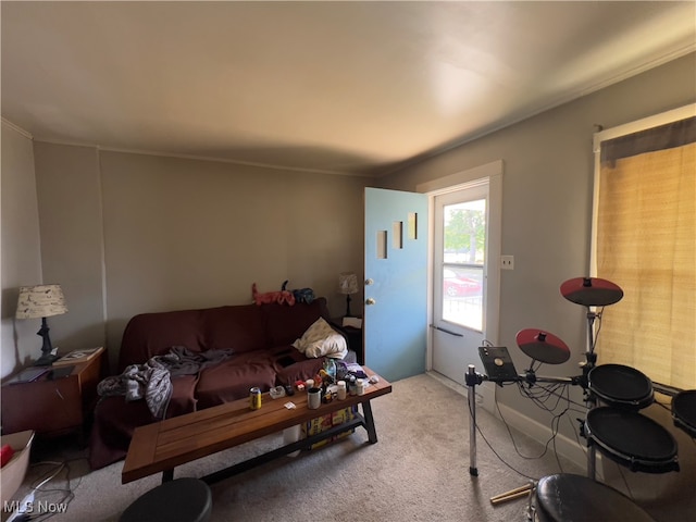 view of carpeted living room