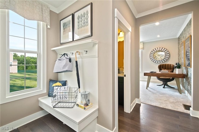 mudroom with baseboards, dark wood-type flooring, and crown molding
