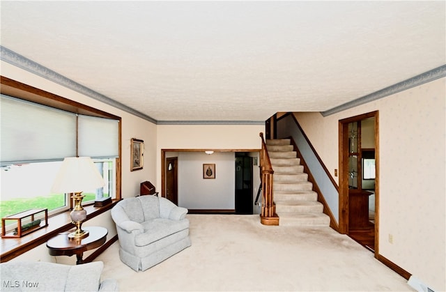 living room with ornamental molding, carpet, and a textured ceiling