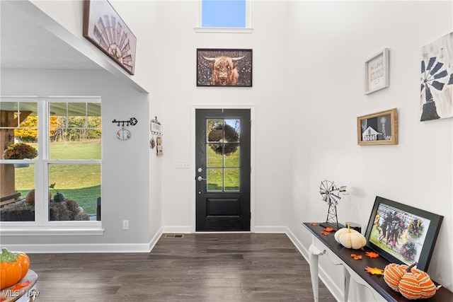 foyer entrance featuring dark wood-type flooring and a wealth of natural light