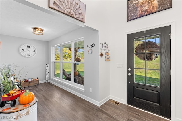 entrance foyer featuring dark hardwood / wood-style flooring and a healthy amount of sunlight