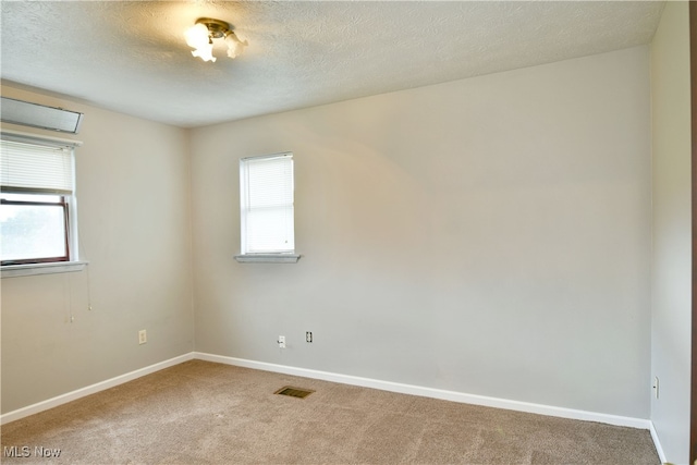 empty room featuring plenty of natural light, carpet, and a textured ceiling