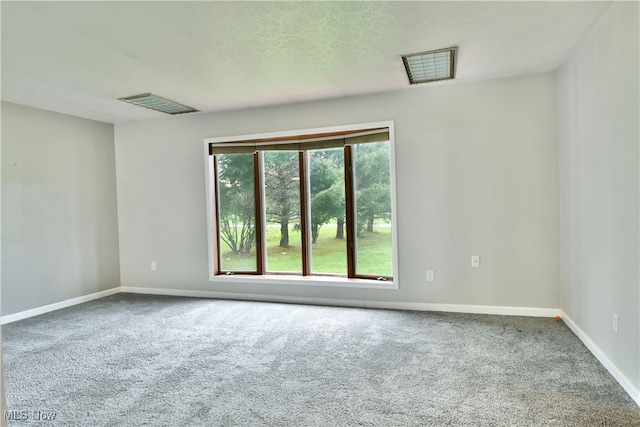 carpeted empty room with a textured ceiling and a healthy amount of sunlight