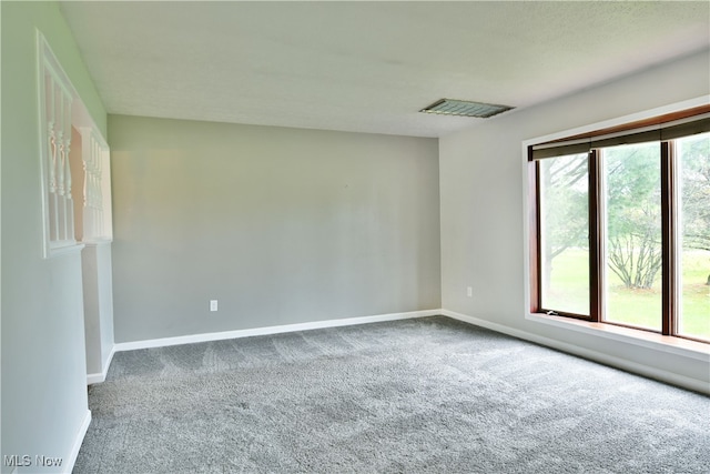 carpeted spare room with plenty of natural light