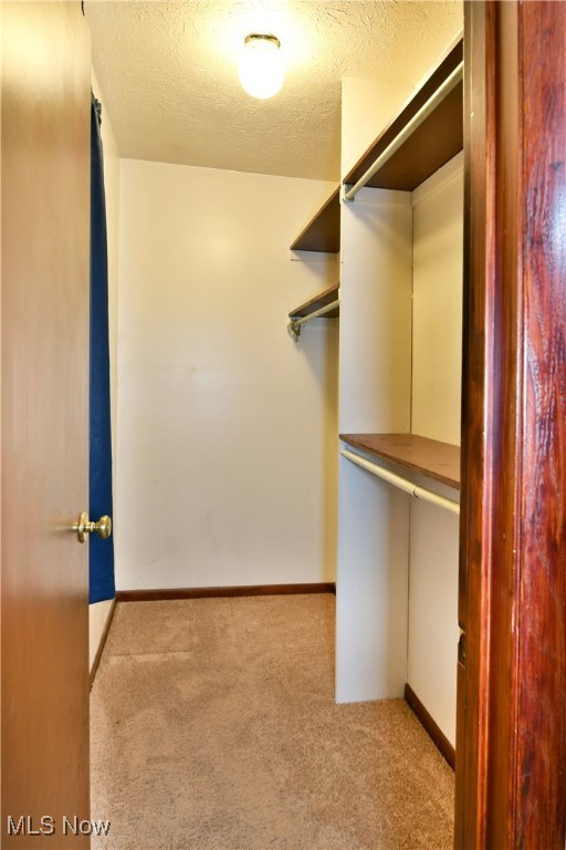 walk in closet with light colored carpet