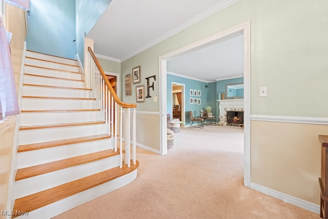 stairs featuring ornamental molding and carpet flooring