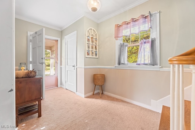 interior space featuring light carpet and crown molding