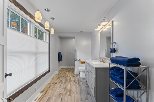 bathroom with vanity, hardwood / wood-style floors, and toilet