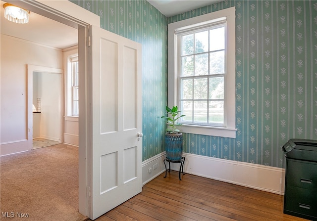 interior space featuring ornamental molding and hardwood / wood-style floors