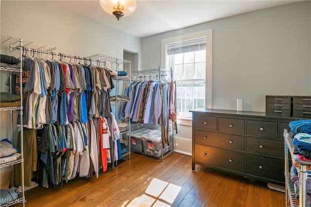 walk in closet with hardwood / wood-style flooring