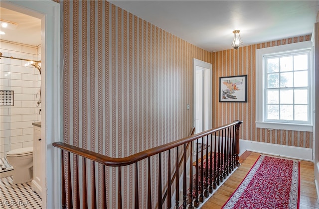 hallway featuring tile walls and hardwood / wood-style floors