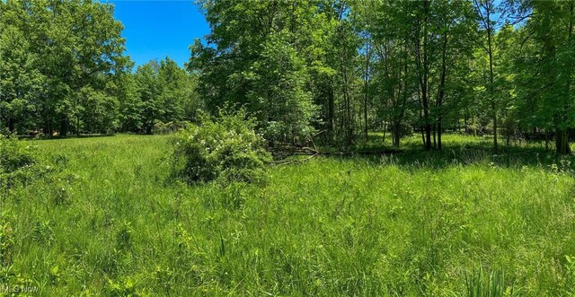 0 Richmond Rd, Richmond Heights, OH 44143 - photo 23