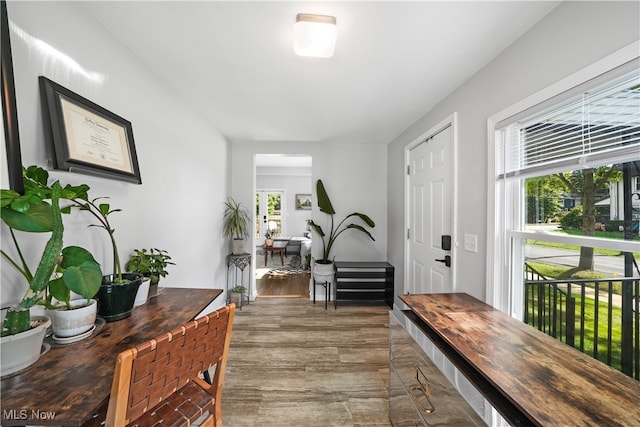 foyer with hardwood / wood-style flooring