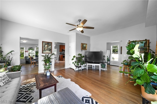 living room with ceiling fan and wood-type flooring