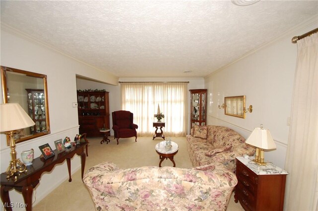 carpeted living room with ornamental molding and a textured ceiling