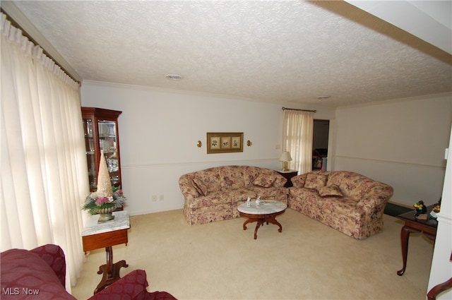 carpeted living room featuring crown molding and a textured ceiling