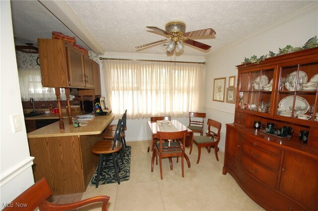 dining space featuring crown molding, ceiling fan, sink, and a textured ceiling