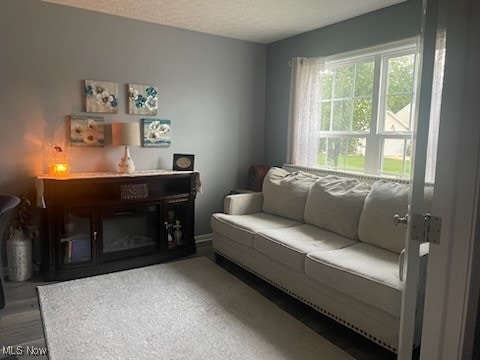 living area with hardwood / wood-style floors and a textured ceiling