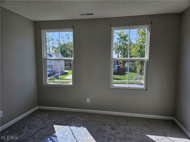 spare room with a wealth of natural light, a textured ceiling, and carpet flooring