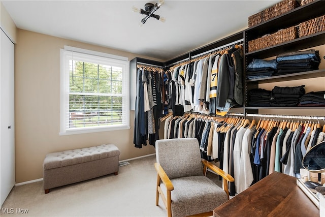 walk in closet featuring carpet