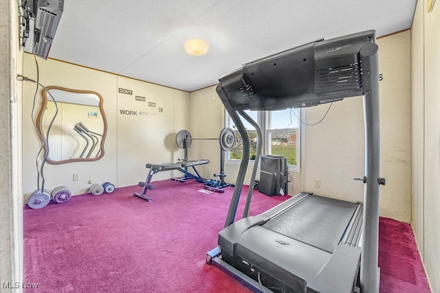 exercise area featuring a textured ceiling and carpet floors