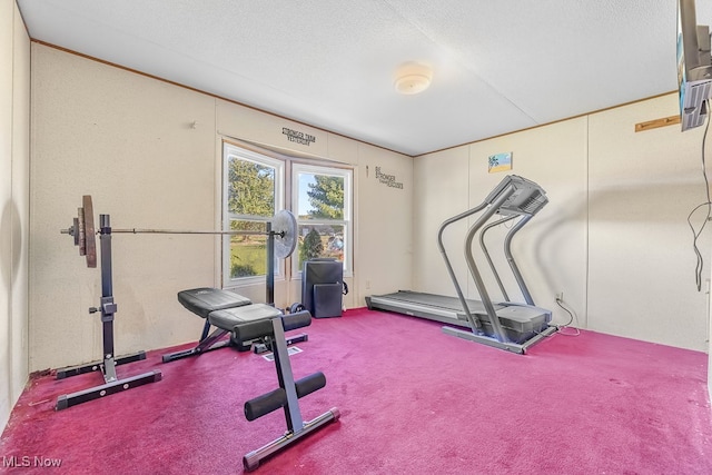 exercise room with a textured ceiling and carpet floors