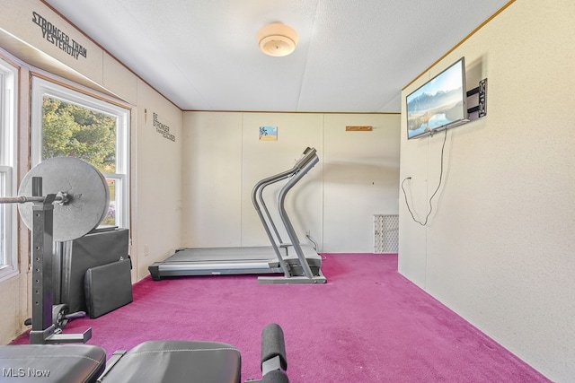 exercise room featuring a textured ceiling and carpet flooring